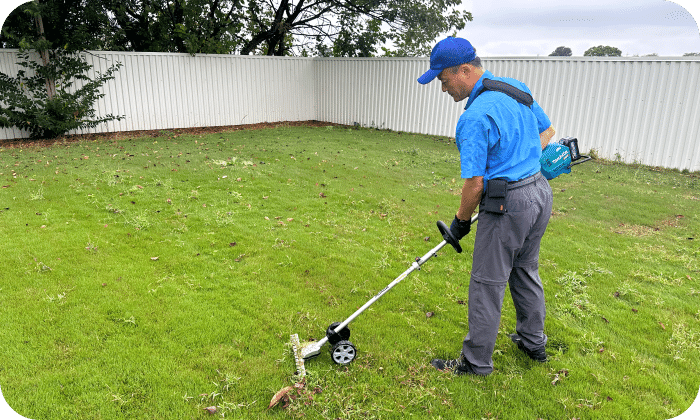 簡易剪定・草刈り